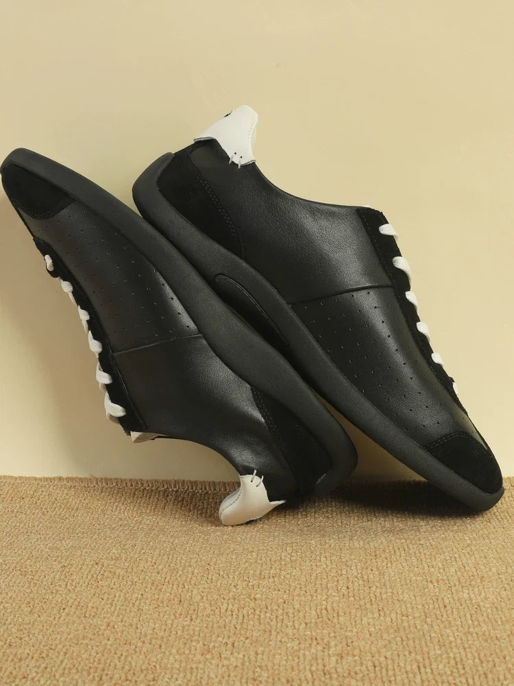 German trainer – vue 5