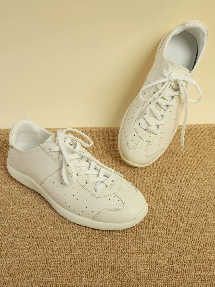 German trainer – vue 7